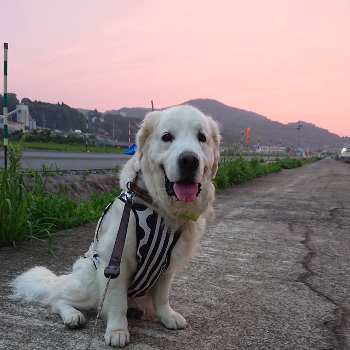 Ed1a699e cc26 458b 9571 c3063cd469ba 1562478794488