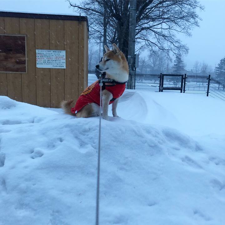 Ed1a8dbf ab8b 4ec2 beb0 0ae41bc005d1 1549365410937