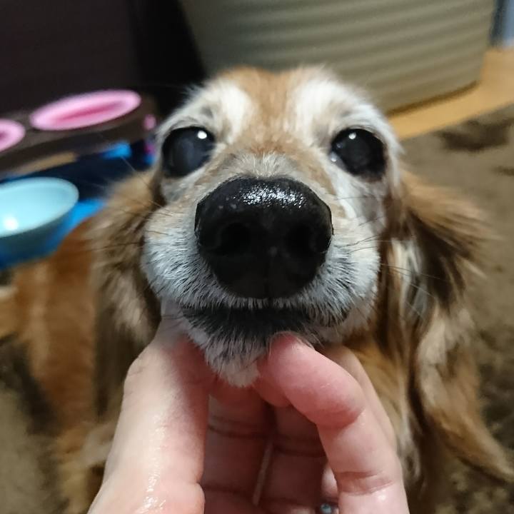 Ed1a8e19 907e 43b6 bc39 36acafffb820 1512039853562