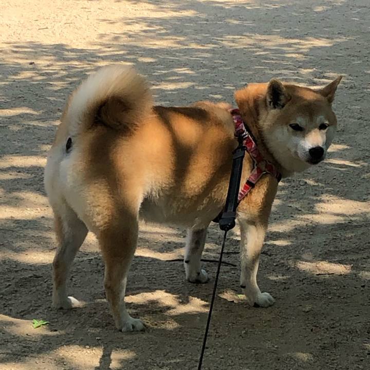 Ed1ae50e 0334 4569 90a4 13bdca6abbcd 1557756306876