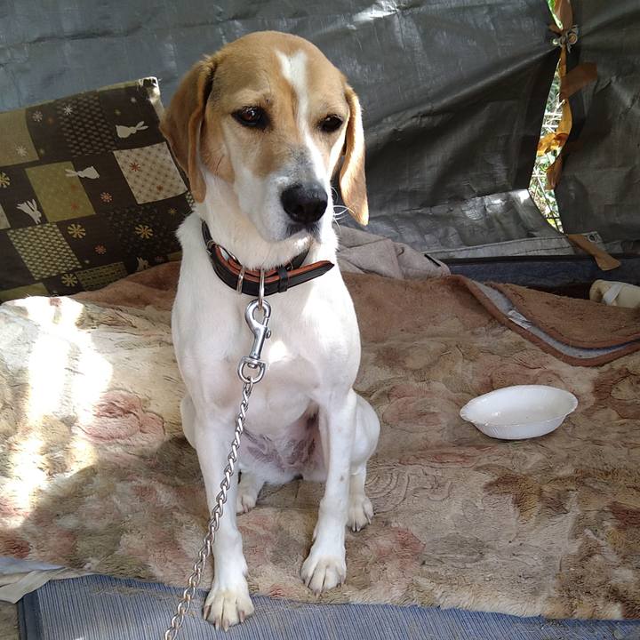 Ed1ae729 a516 4a6c a244 68754d51a813 1658732102641