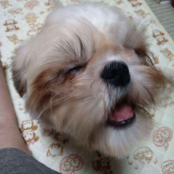 Ed1b1f59 9b12 4ec6 95bf 776eaf18e2a7 1599918923587