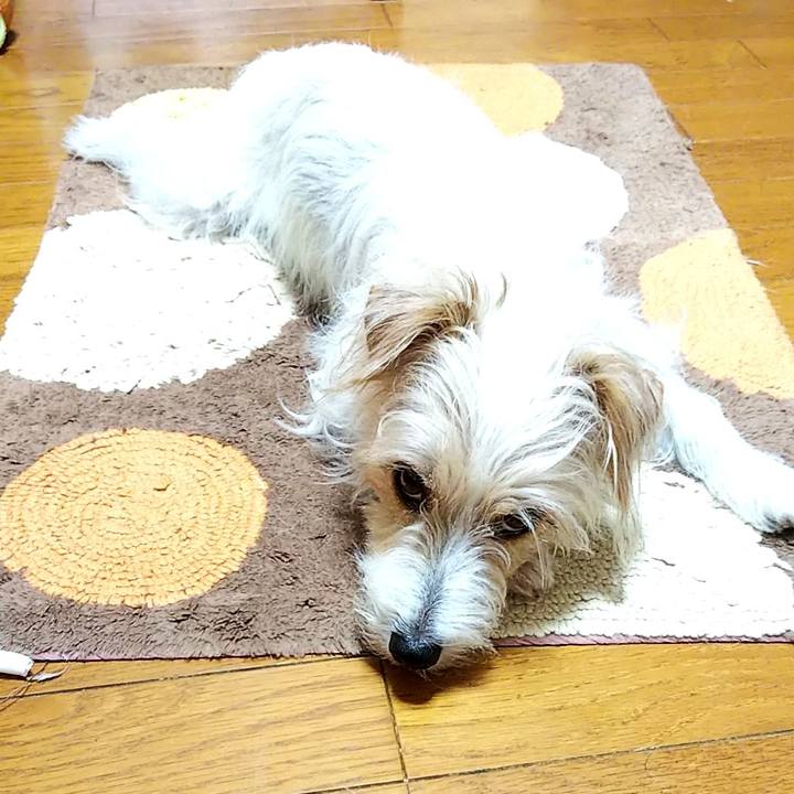 Ed1b2517 fcd5 4b43 b299 32b56fdf4953 1563746977339