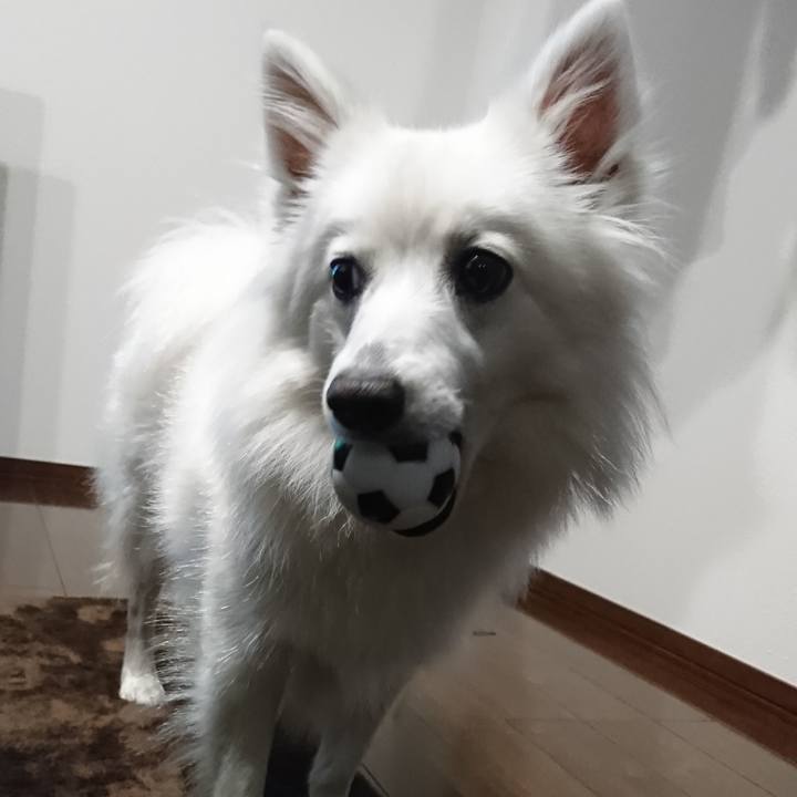 Ed1b9045 1934 49d6 b0a4 460cdc9bb5b1 1526304773505