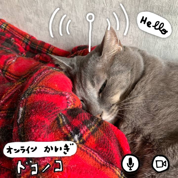 Ed1b97e5 2f93 4942 b72b 65a4fffb6bd8 1591240657949