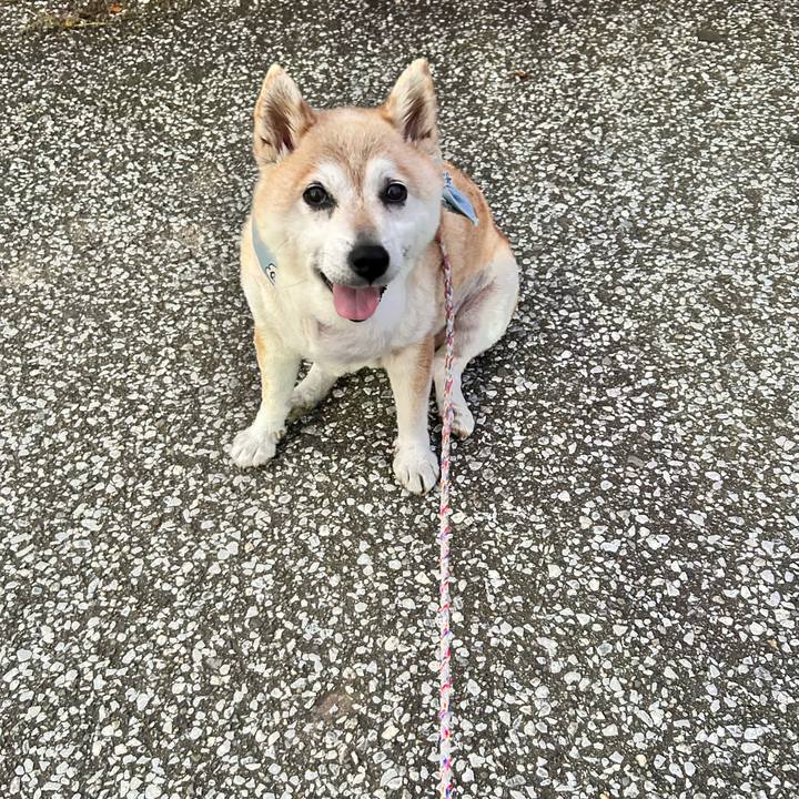 Ed1c05a9 1545 42a5 8984 188b7bc10cfb 1752403351497