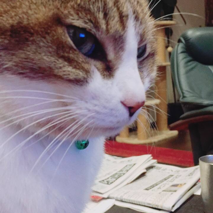 Ed1c18d0 68d8 48e5 bac8 95bc22f4a5fc 1510671294913