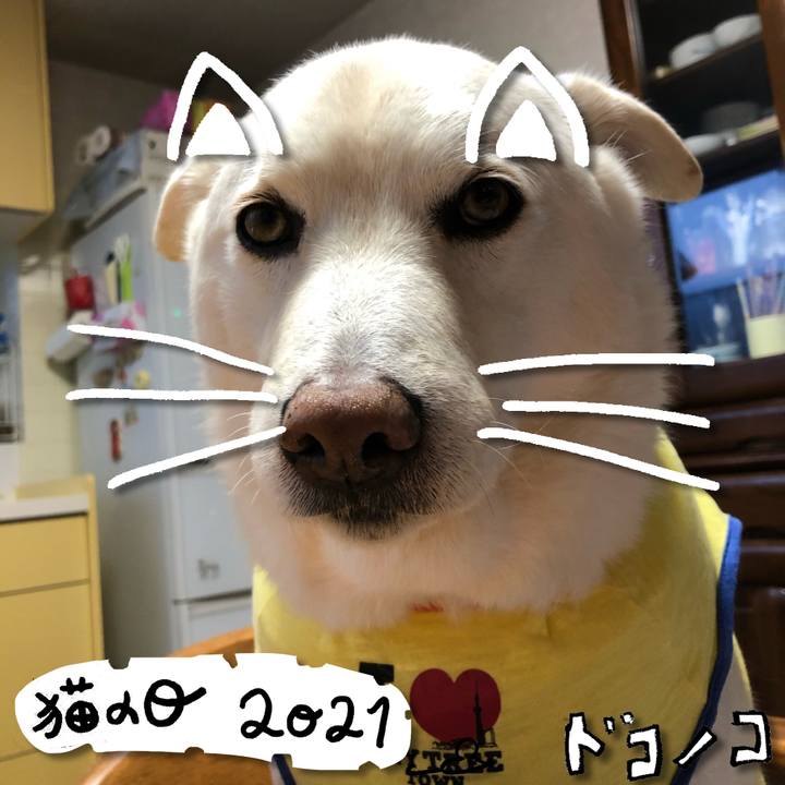 Ed1c5b81 90a9 4362 aa0c e784dad45524 1613985431773