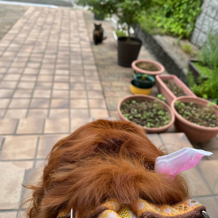 Ed1c644d 7b64 4edd 9958 ec22b7fa4d2d 1751150932039