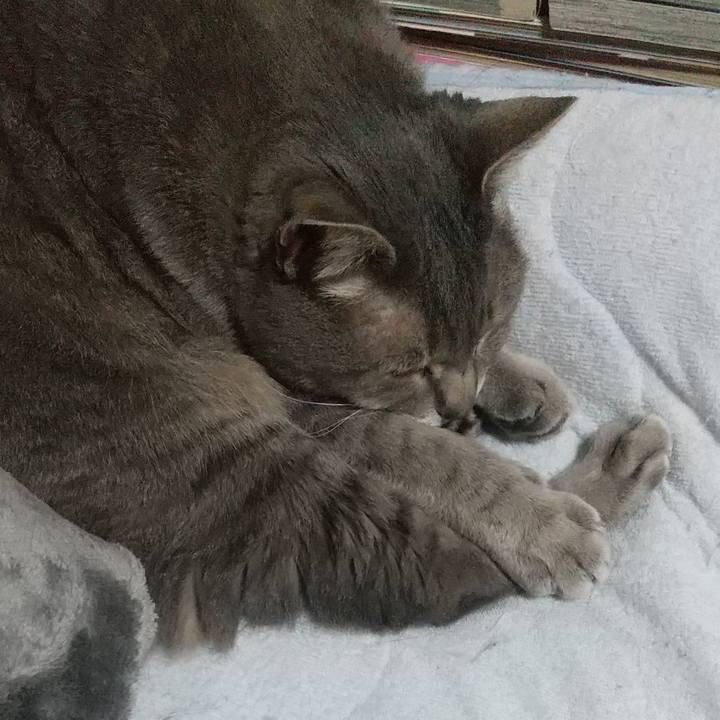 Ed1c6856 b035 41e1 bae1 32639cbce1de 1619528563315