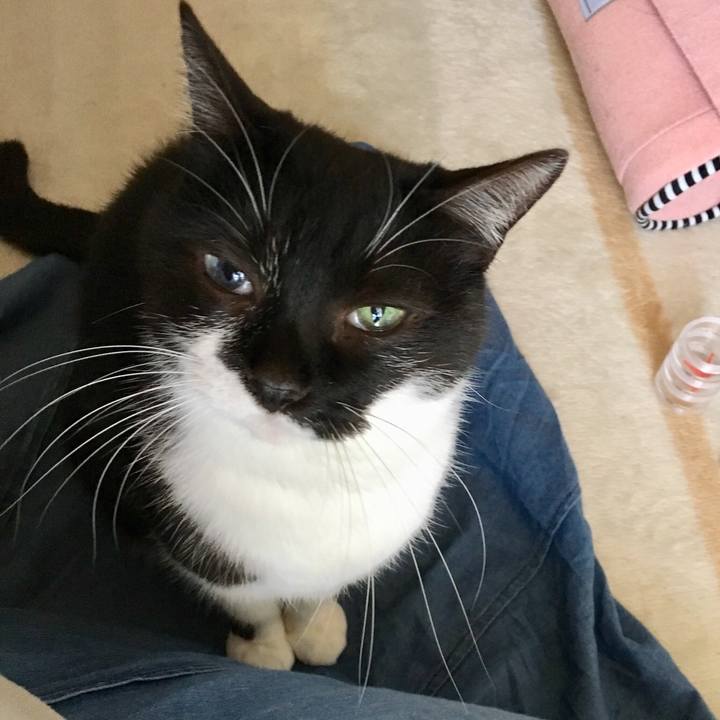 Ed1c877b a46b 449a 887c f843900e05f7 1527050999131