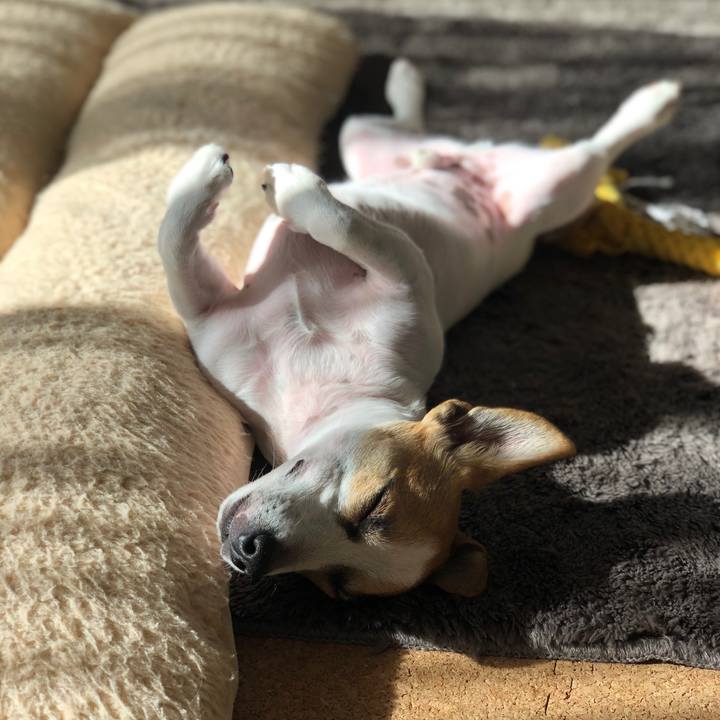 Ed1c8f7a 51fa 41bc b776 39a2e46d23f3 1578102270182