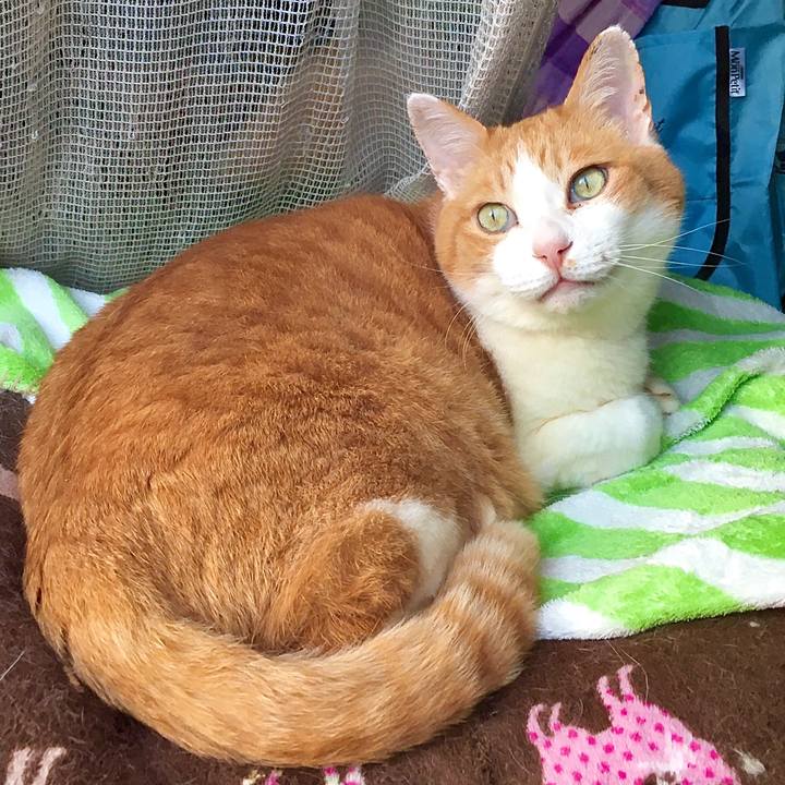 Ed1ca6e0 cc00 42f8 a641 f99c12753ee1 1622761849008