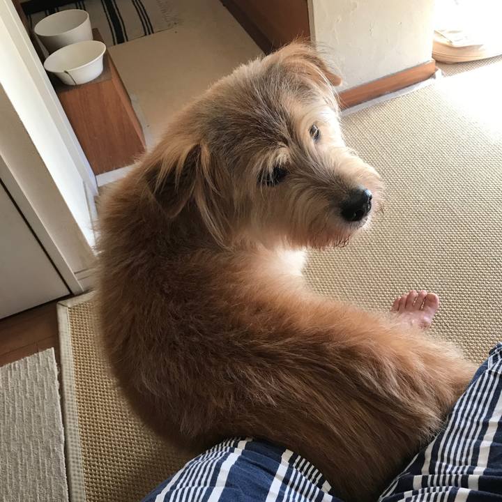 Ed1cb667 39be 433c 8b85 ef9731628ac9 1538349168873