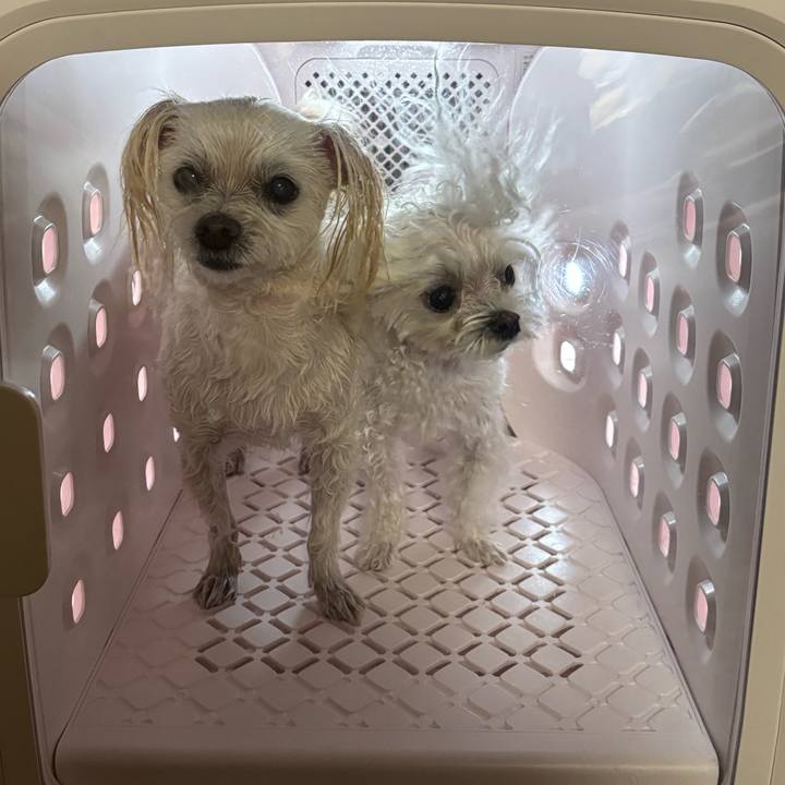 Ed1cd8b3 5671 4400 9ef9 0a1922c6868c 1764665120561