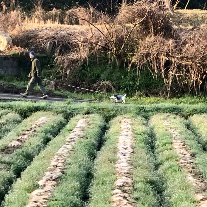 Ed1cdd4f c074 4491 bb64 12d5ab8ff8c6 1680163002523