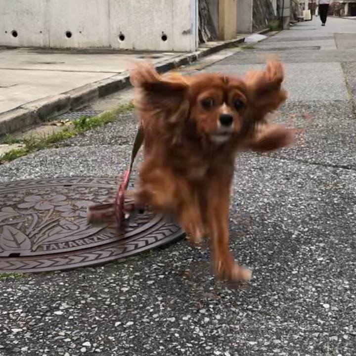 Ed1ce581 fd21 473c 87cd 2e539c342082 1587562037735