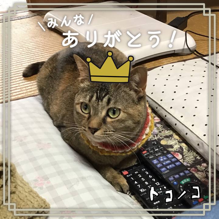 Ed1cfddc 170e 4e92 b350 42368e110ca9 1622945362493