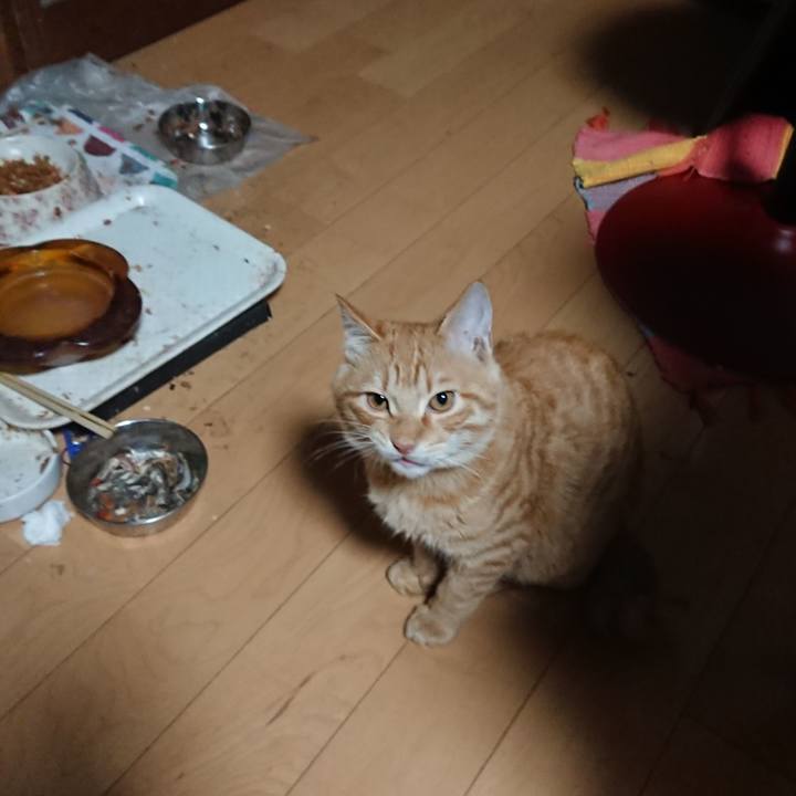 Ed1cffbc cb0e 49e4 851e dc988ed71c94 1637353851140