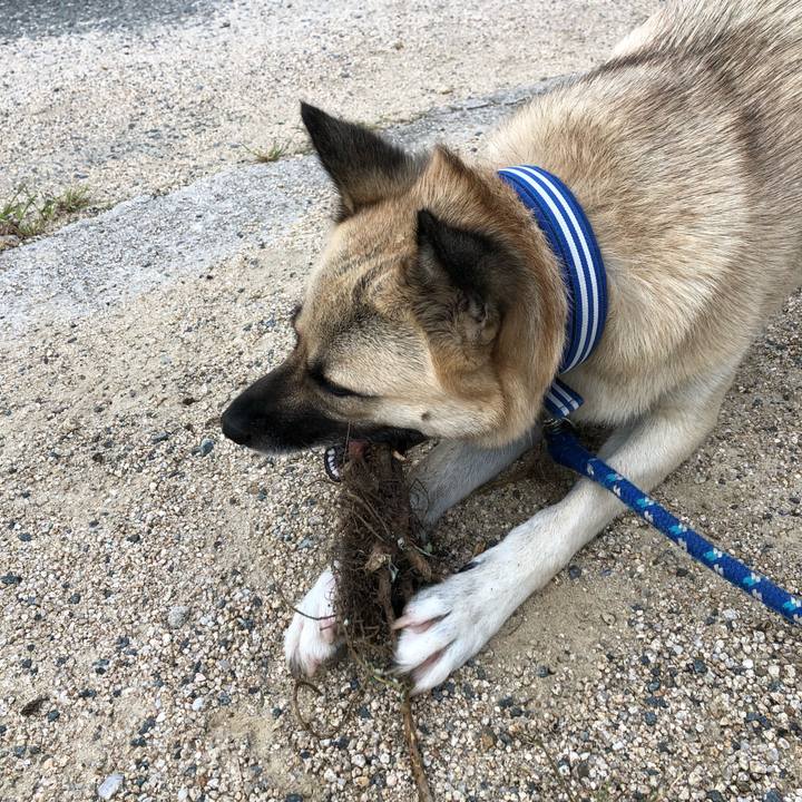 Ed1d4ccc ca69 43c9 b0ad 2d2e1f1a2be1 1539083540536