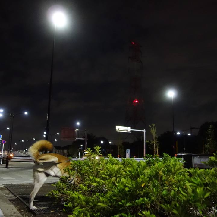 Ed1d5dd1 f58c 4230 8167 d779a4b2ac1e 1539178652224