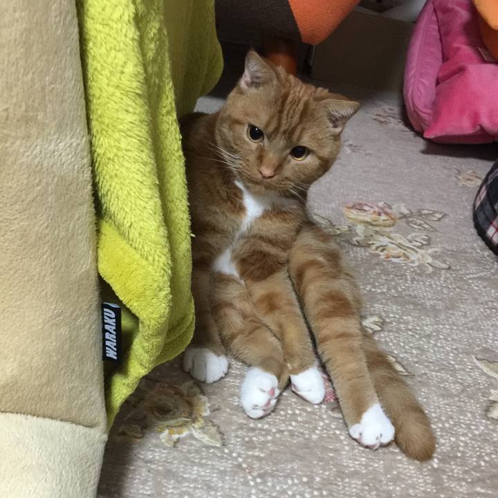 Ed1d729d f92f 494b 9634 b66e2dcbba85 1529074133660