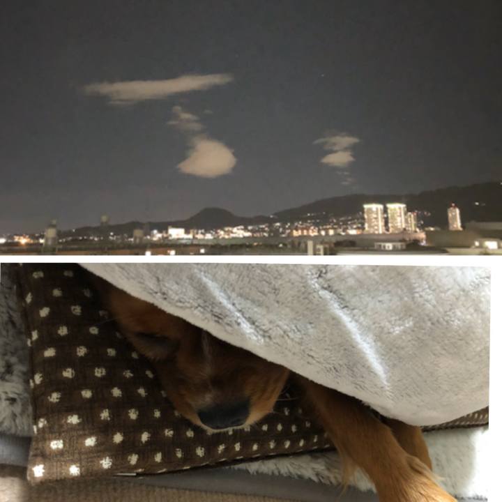 Ed1dae29 09ae 4668 8c49 87e9bc62d709 1541073591219