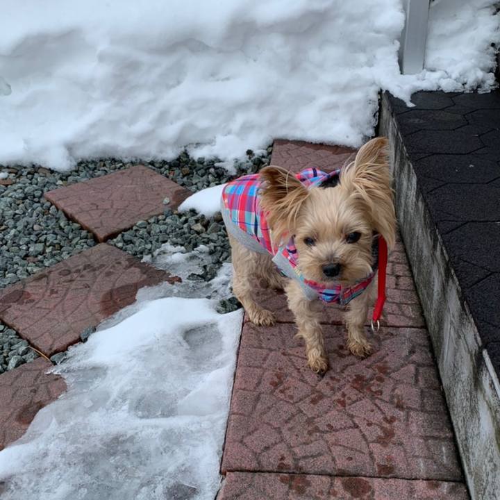 Ed1deddc ce71 4138 941d 76dd18c1d161 1608019603183