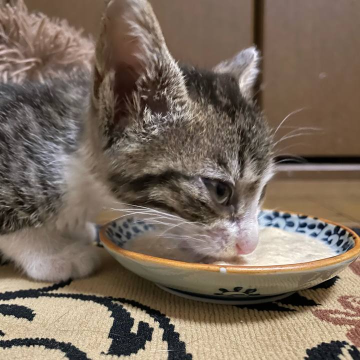 Ed1deed5 c6fb 4bd4 bce7 d47c32cfb249 1720705103744