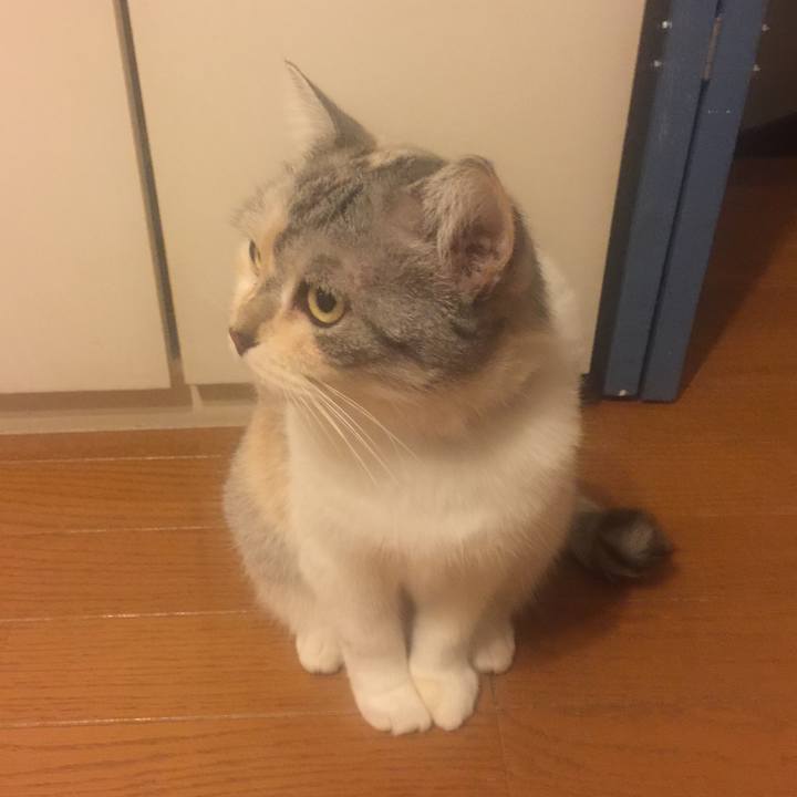 Ed1df4ef b72b 4cda 8ba8 61a0e19cee08 1570096073633