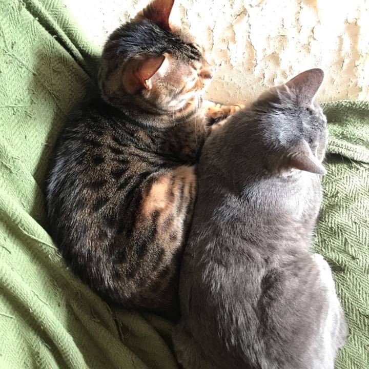 Ed1df8db 37ac 4dd3 b989 d0959fb8ece9 1542340120441