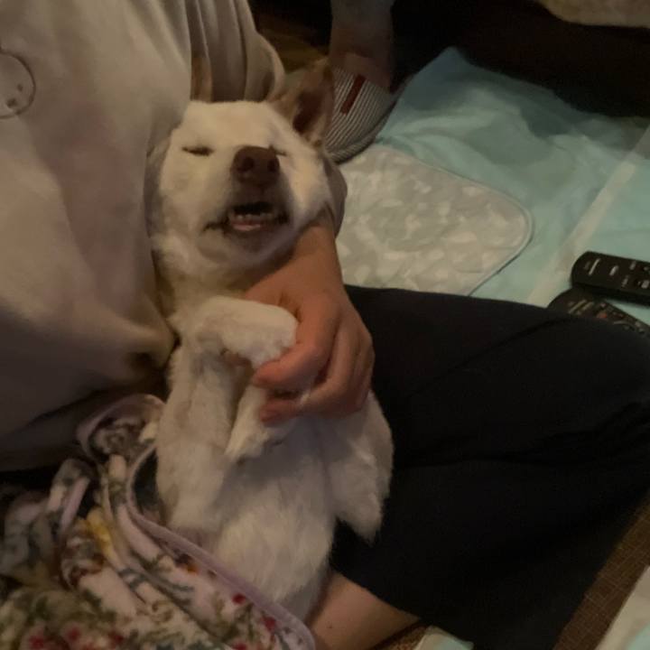 Ed1e0626 0288 459b aaa4 0bd64396ed29 1669913847860