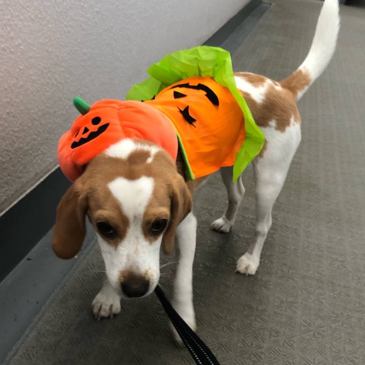 Ed1e0753 cca6 444b 91dc a3579f806928 1541040813189