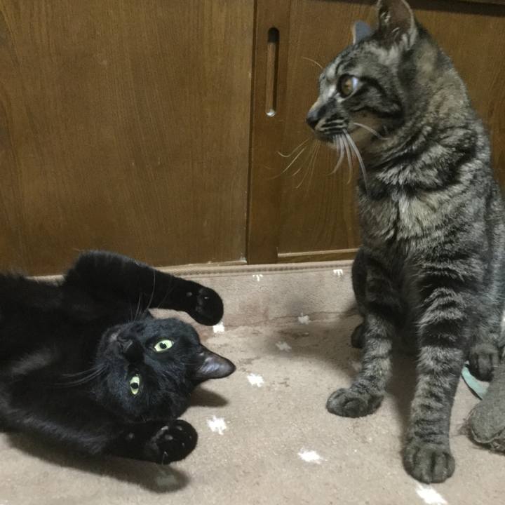 Ed1e16e2 c117 41c7 890e 0313a08f28bd 1561550560917