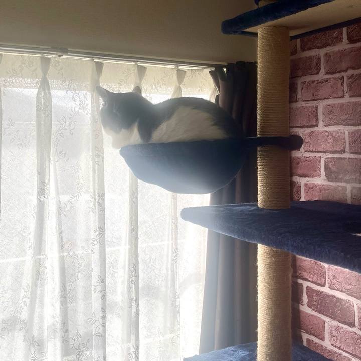 Ed1e52be bb6a 4935 9501 36e6cd084a66 1701481263928