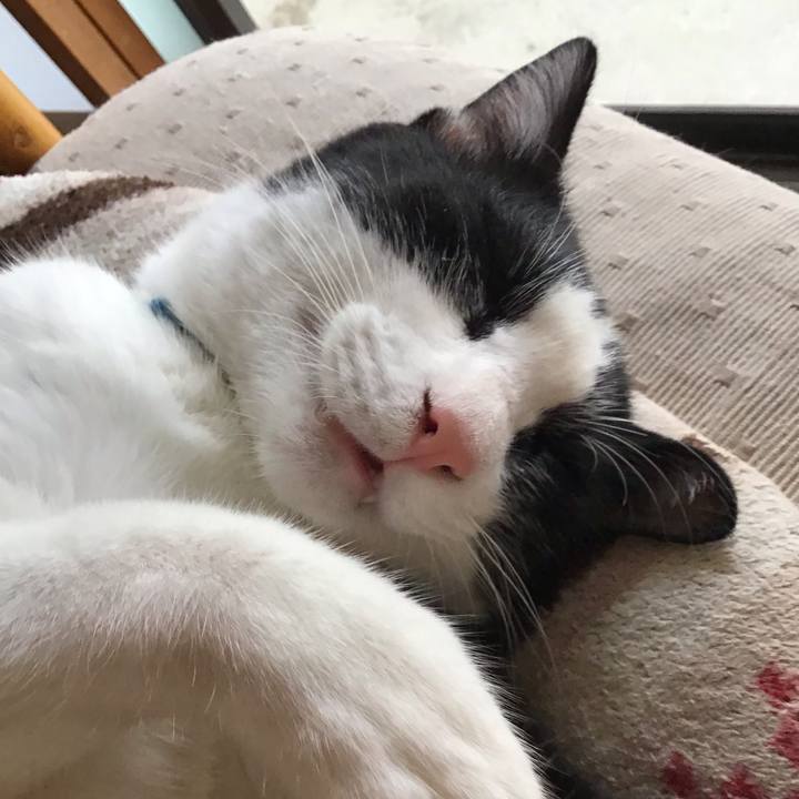 Ed1e68c4 ada7 4034 9d88 77e03360f273 1659859139661