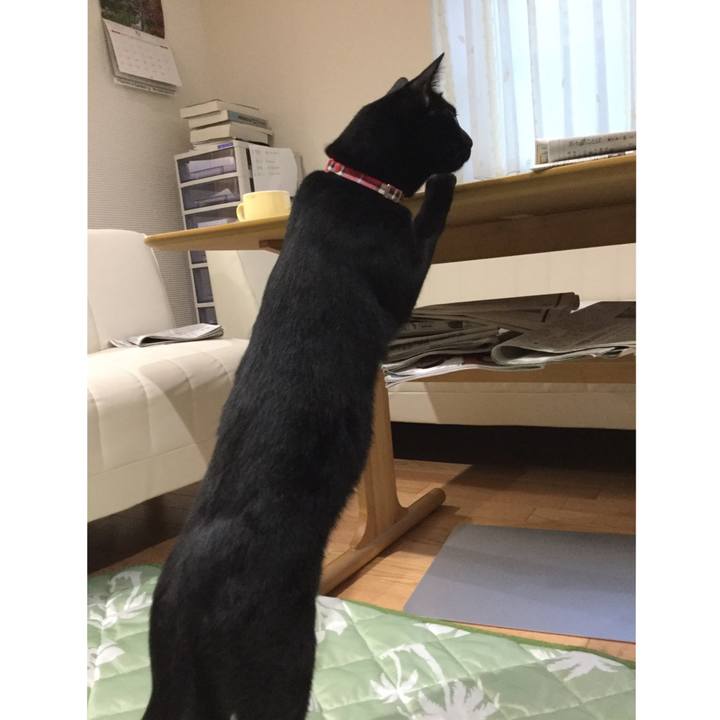 Ed1e99ac 587d 4d86 b09a 6bb74220c0ec 1556766973219