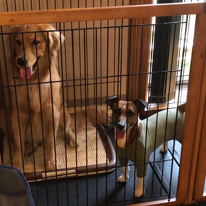 Ed1eb84a 5080 4e85 a099 7fcae083cdd5 1536360801024