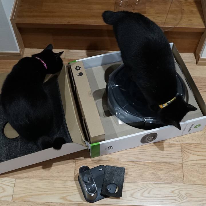 Ed1f6745 6f08 4373 a319 b5d5fcf1374f 1562541821077