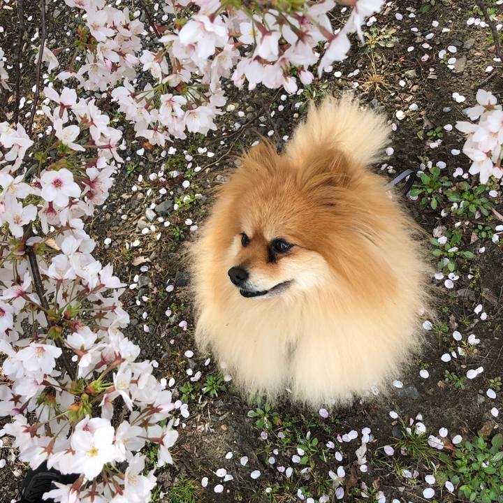 Ed1f71e8 e40a 4372 b19e 96ad402ec470 1617142541772