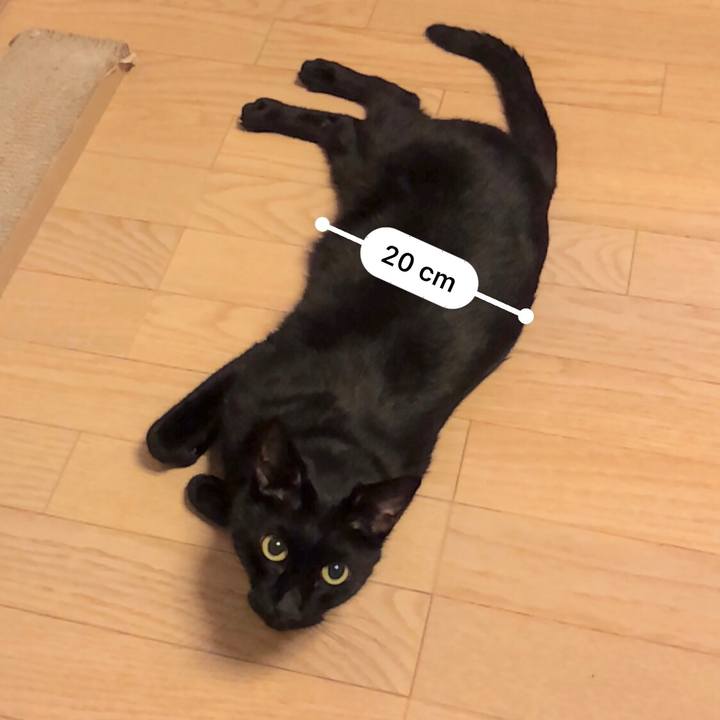 Ed1f91b1 3647 492a 943c 725cbb541ed4 1539783693883