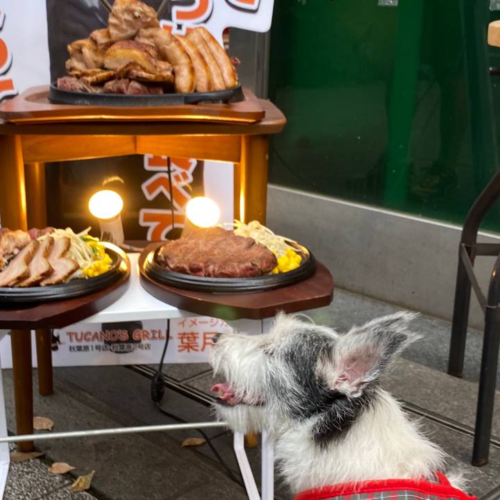 Ed1fcff8 55ee 44c6 b308 0d4cb231a081 1600611921708