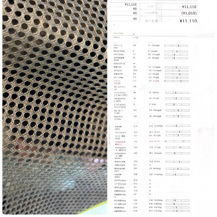 Ed2009b8 0864 4ea9 b895 5ae97ccf6c45 1774347570948