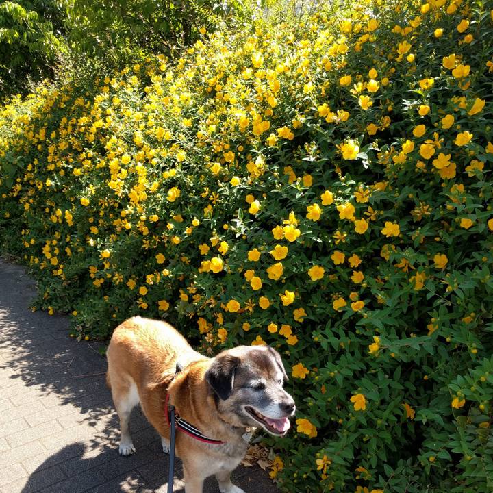 Ed200d52 f8ed 4be7 829a 331a5625a109 1727137732436