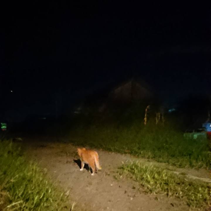 Ed200fe9 8e82 4ef5 af54 bd4706f7b5a5 1600513795352