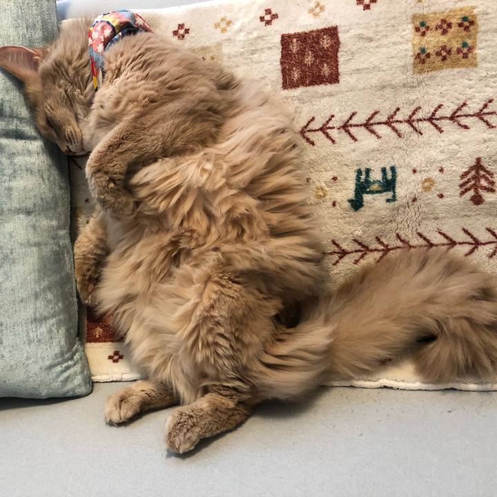 Ed207190 e974 4548 970f b54d4451cae9 1649377654299