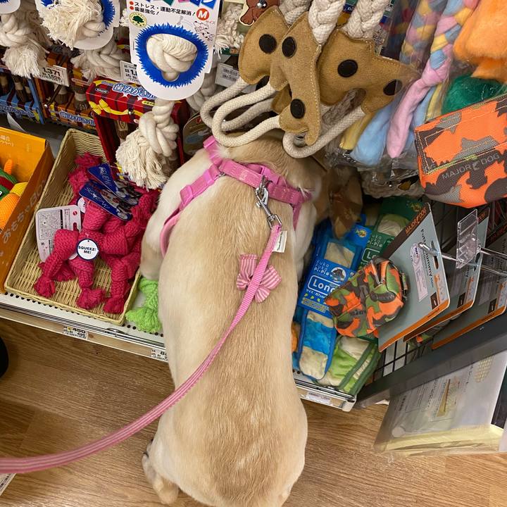 Ed20aacb 0edd 4cfa ae5c 923cb9d73d0e 1615004797764