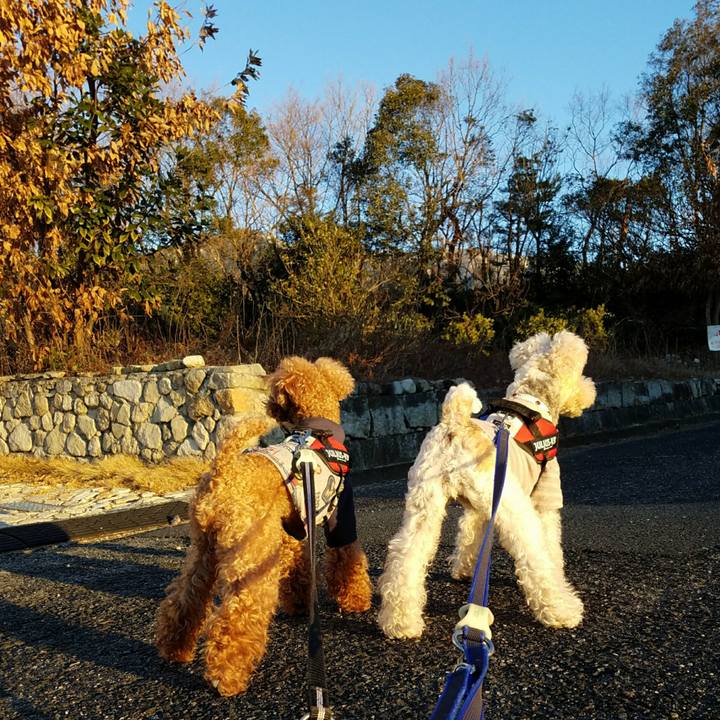 Ed20af9a 16af 41c3 825c 6318dfa6e25a 1515712805065