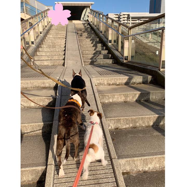 Ed20d12b 10af 4d5b b5d1 e44ae0148916 1584792795263