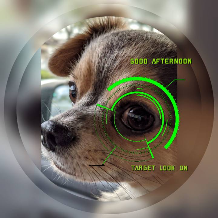 Ed20f39f face 4f9b a2d5 114551b596f3 1601445800500